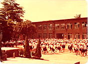 點擊縮圖放大影像 1979-680622__6.jpg
