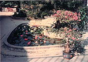 點擊縮圖放大影像 1996-1031__.jpg