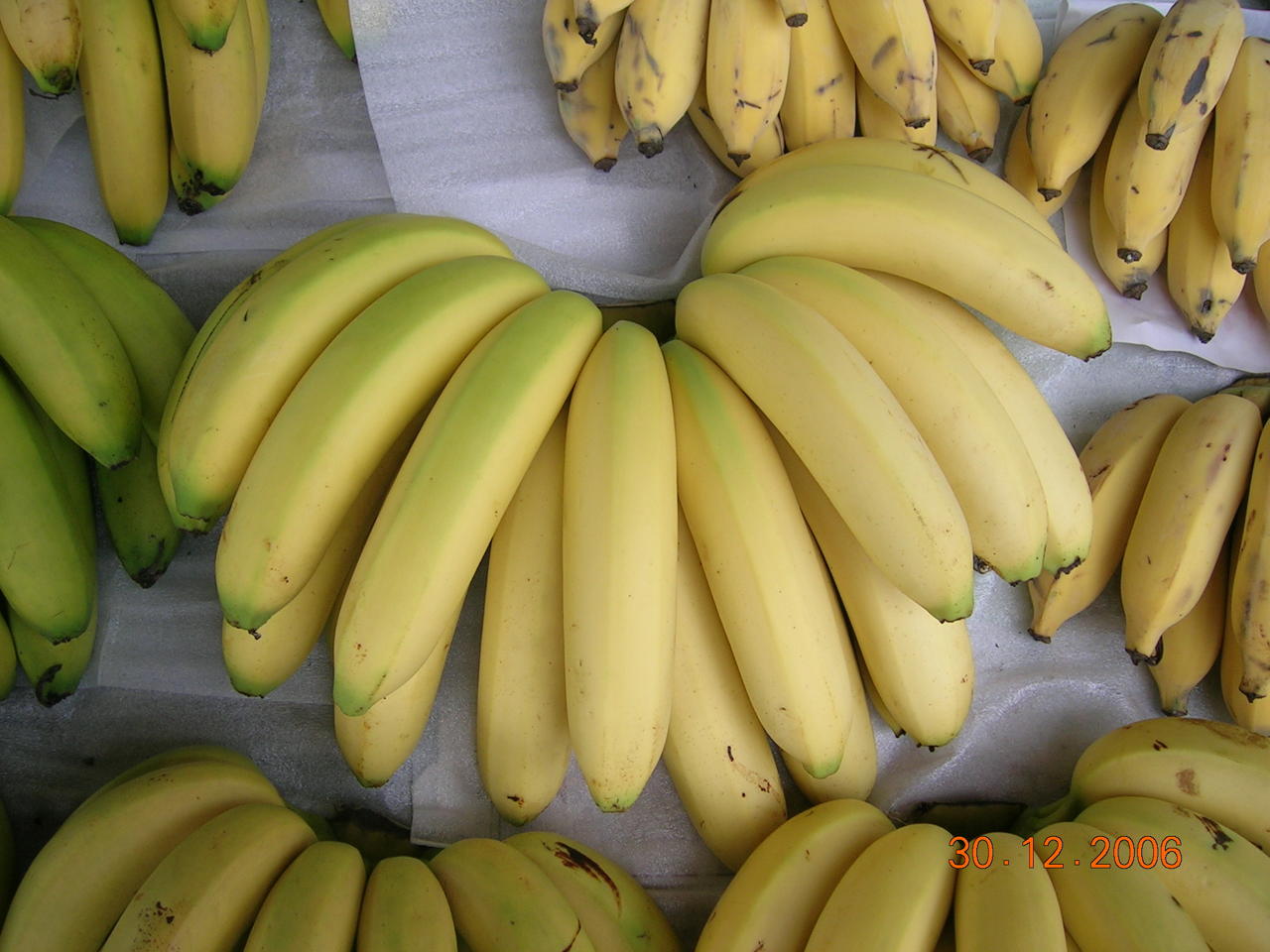 banana-15.jpg